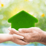 Going Green Lime Wash Painting Services for a Healthier More Sustainable Home