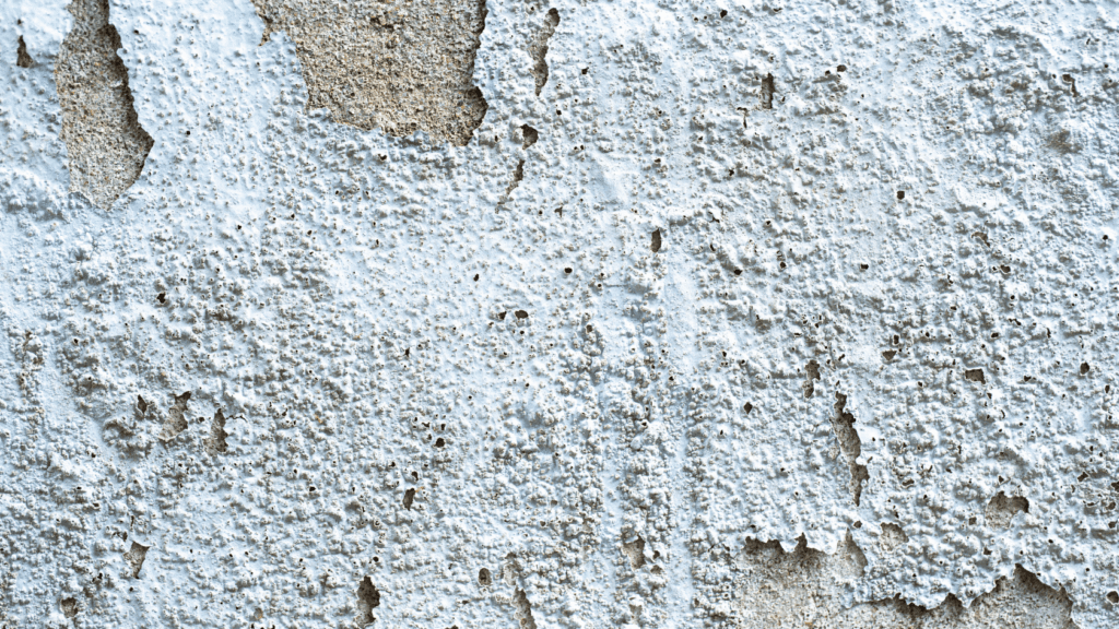 Is Nashvilles Humidity Ruining Your Paint Heres How to Fix It - Harpeth Painting LLC